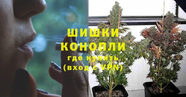 трава Алексин