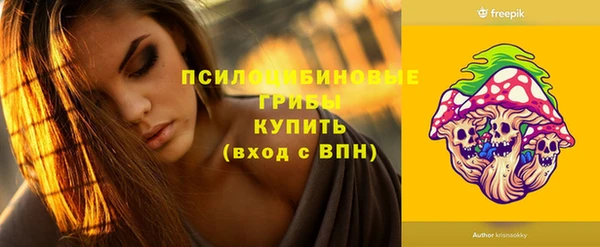 дживик Алзамай